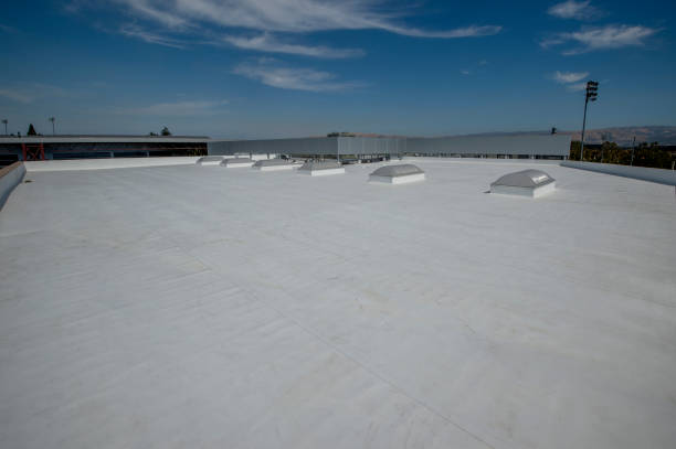 Best Roof Moss and Algae Removal  in Riverton, IL