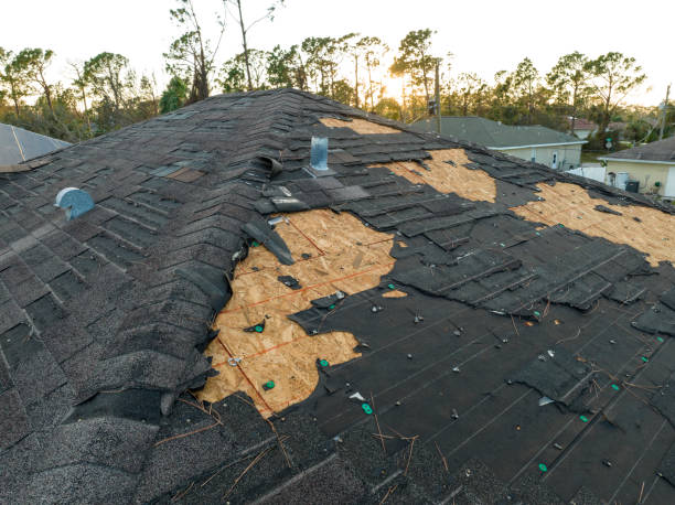 Best Roof Replacement  in Riverton, IL